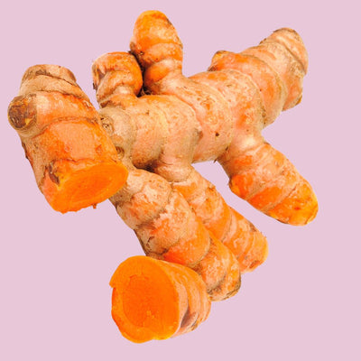 Curcuma