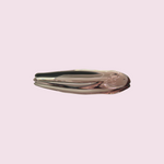 Gloss Repulpant